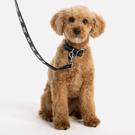 Eco Leather Pet Leash - PXG Canada