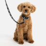 Eco Leather Pet Leash