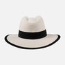 Striped Brim Fedora Hat