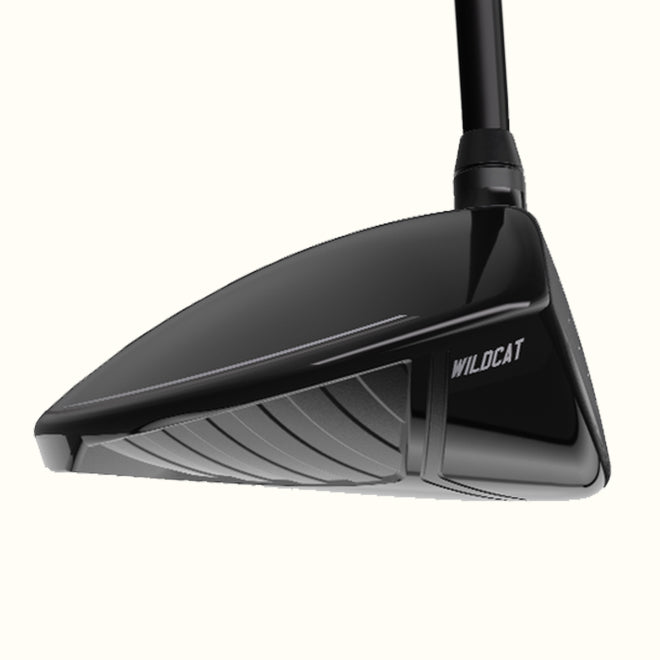 Wildcat Driver | Beginner Golf Clubs | PXG Canada
